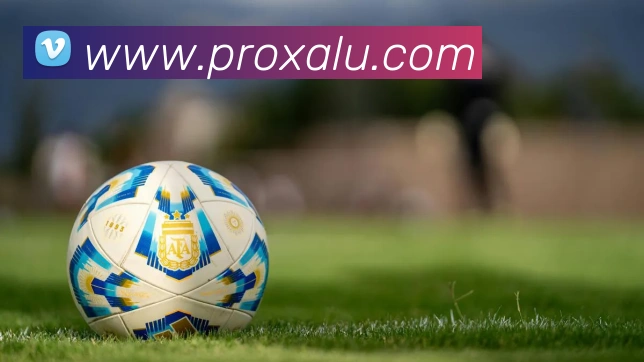 互动解说服务
